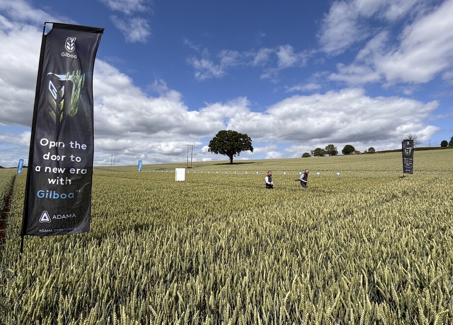 Open a door to Gilboa