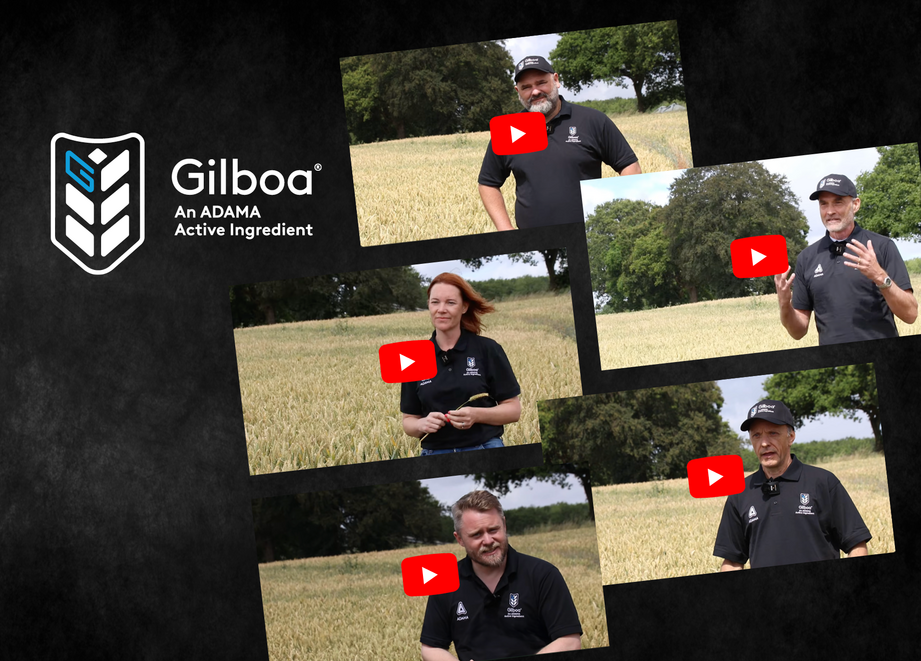 Hero Banner - Gilboa