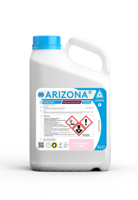 Focal Point Preview Image