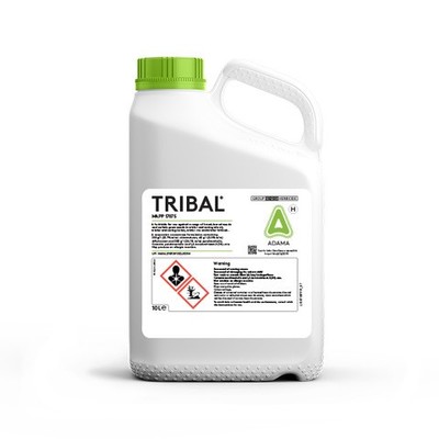 TRIBAL Packshot APR22