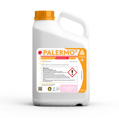 PALERMO® Packshot OCT23