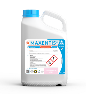 MAXENTIS® Packshot