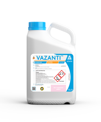 VAZANTI Packshot