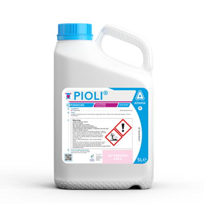 PIOLI packshot