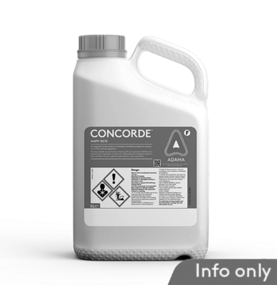 CONCORDE - For Information Only