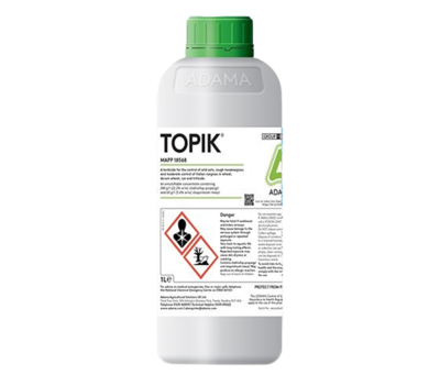Topik®