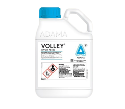 Volley Packshot