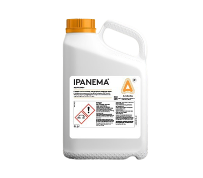 Ipanema
