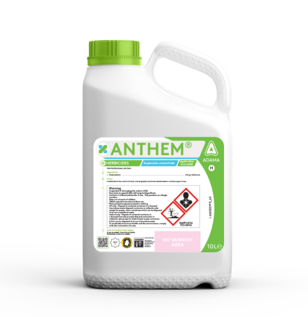 ANTHEM®