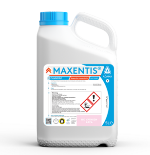 MAXENTIS® Packshot