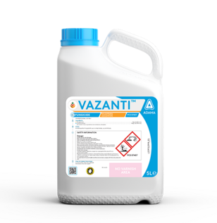 VAZANTI Packshot