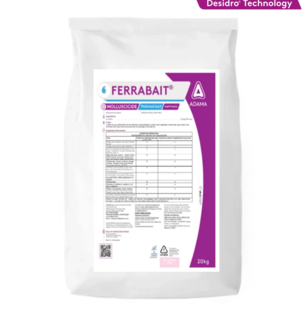 Focal Point Preview Image