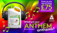 ANTHEM anthem's