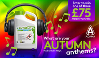 Autumn Anthems X Web Banner 1200x675