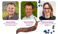 FERRABIAT WEBINAR