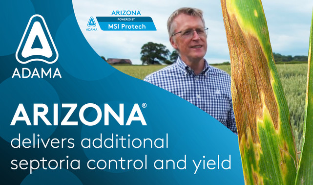 ARIZONA delivers additional septoria control and yield