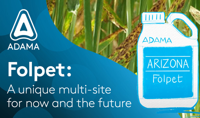 Folpet: A unique multi-site for now and the future