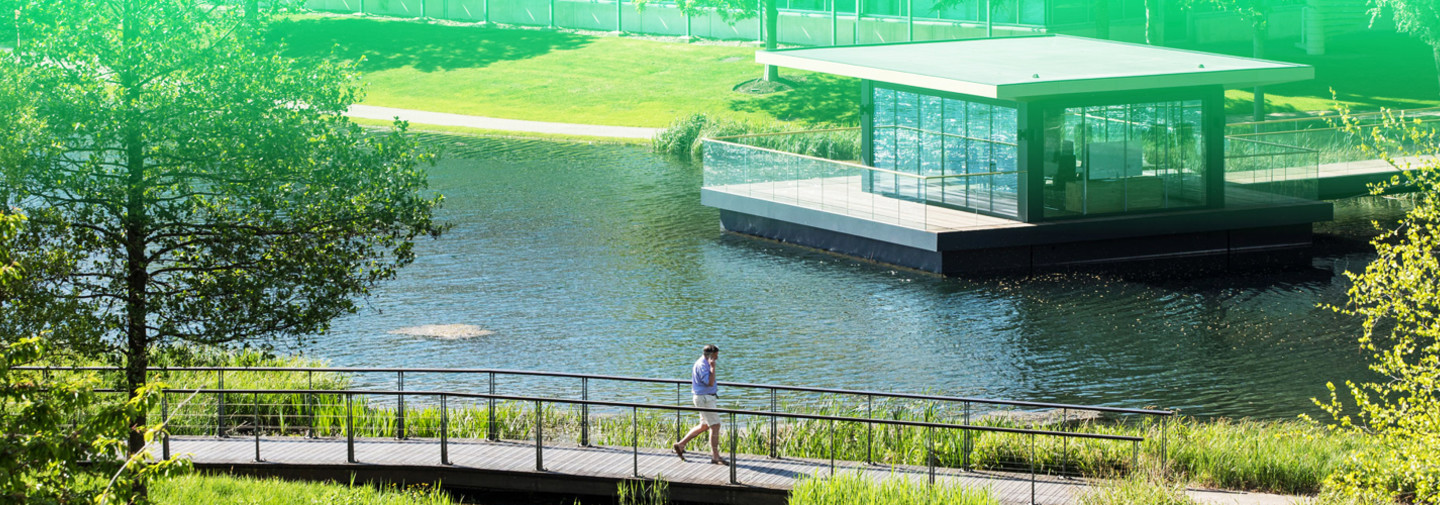 Arlington Business Park Lake