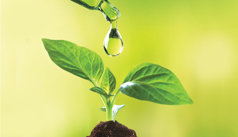 expert_grow_booklet