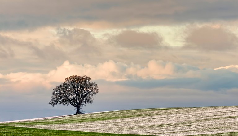 agrovisnyk_winter_002