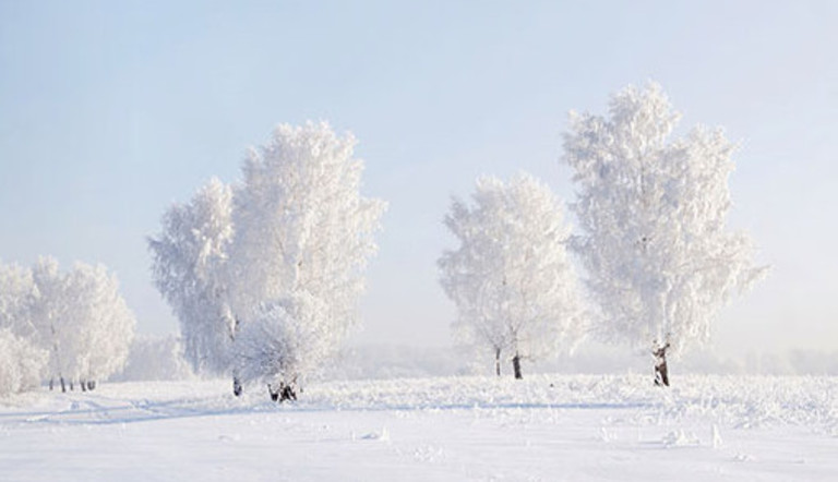 agrovisnyk_003