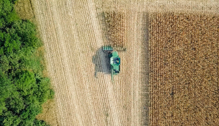 agrovisnyk_autumn_001.jpg