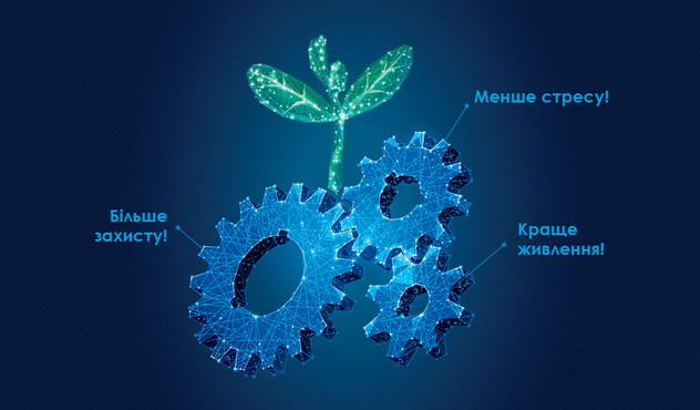 acadia_booklet