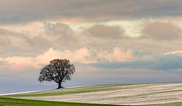 agrovisnyk_winter_002