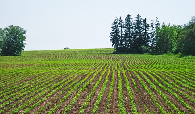 Agrovisnyk_spring_001