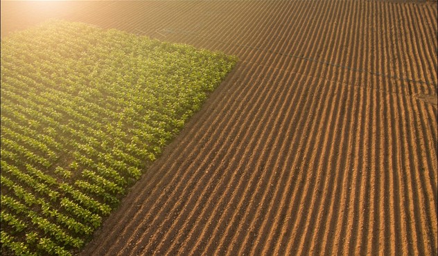 Agrovisnyk_spring_002_01