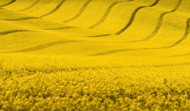 Agrovisnyk_002.jpg