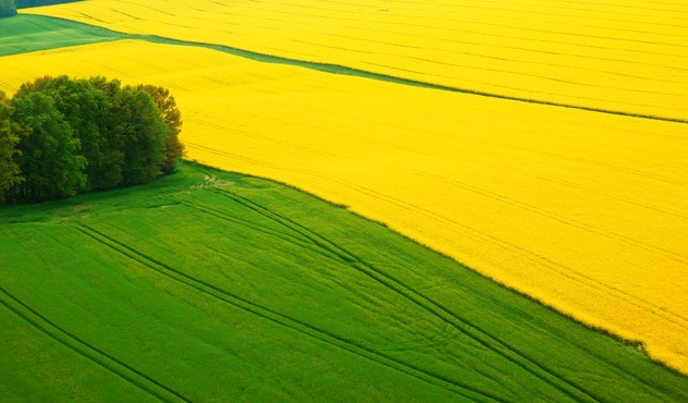Agrovisnyk_003.jpg