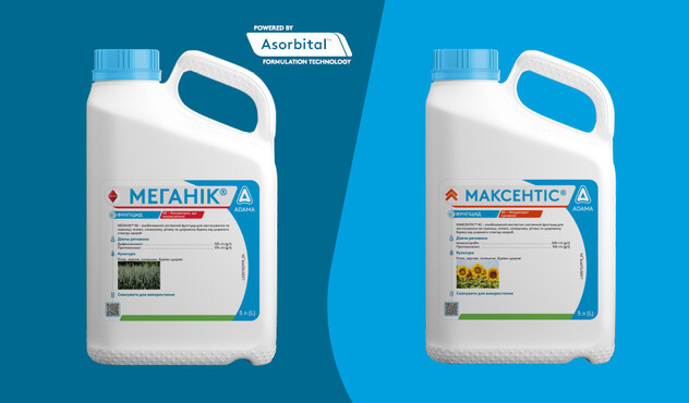 максентіс меганік адама