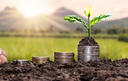 finance_2019 