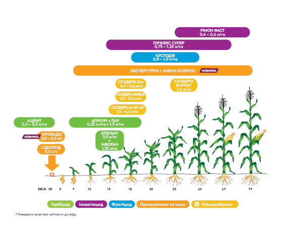 corn_sp_crop_page.jpg
