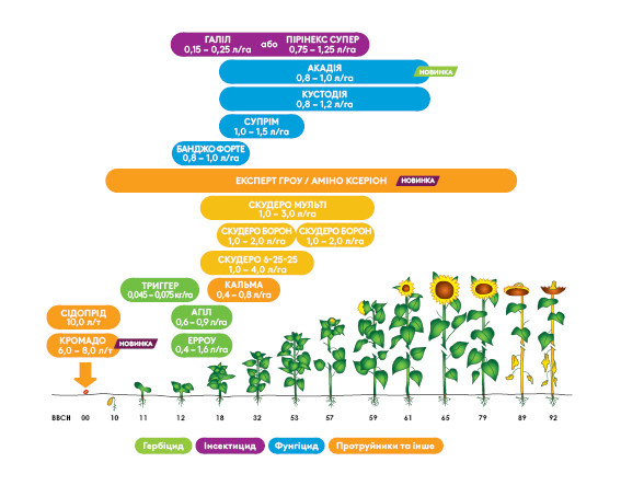 sunflower_tr_sp_crop_page.jpg