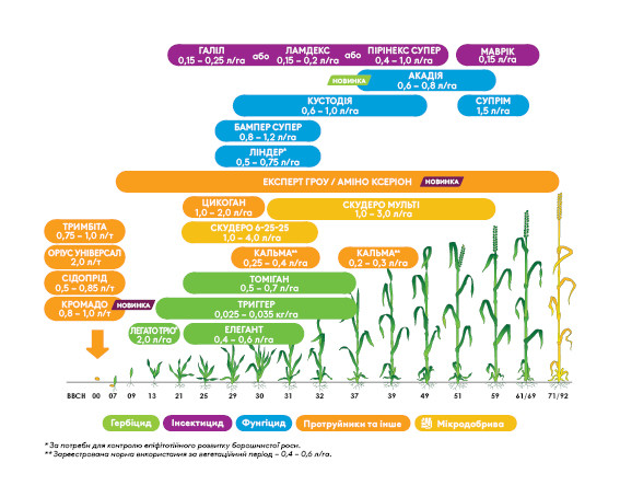 wheat_sp_crop_page.jpg