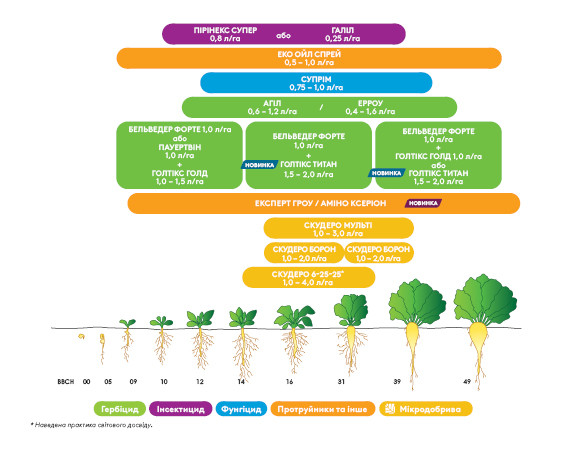 sugarbeet_sp_crpo_page.jpg