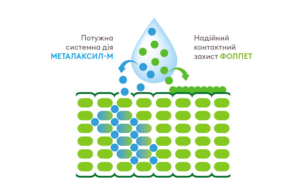 фунгіцид для томатів та картоплі