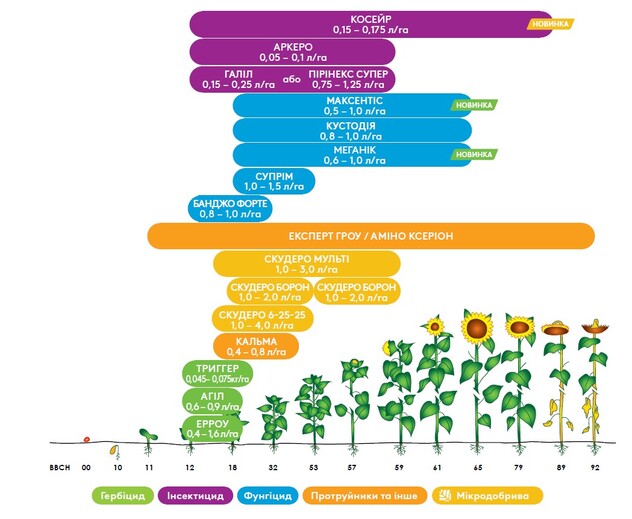Комплексний підхід до захисту соняшника з продуктами адама