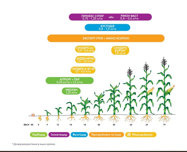 Комплексний підхід до захисту кукурудзи з продуктами ADAMA