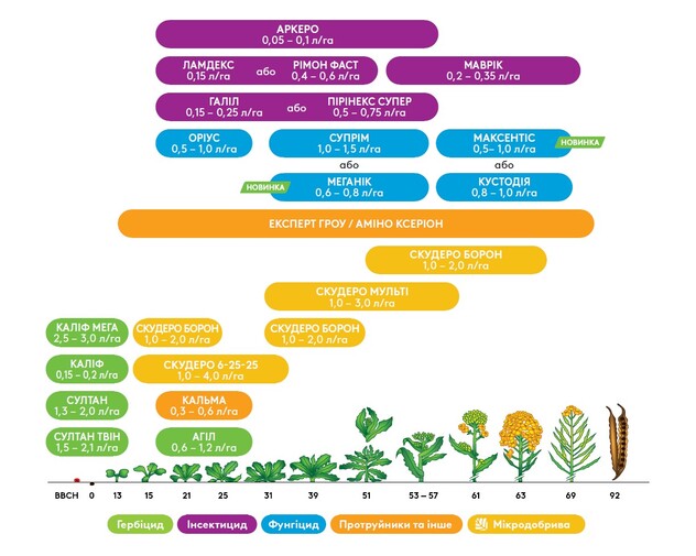 Комплексний підхід до захисту ріпаку з продуктами адама