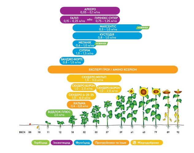 Схема захисту соняшника адама