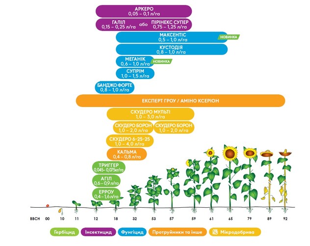Комплексний підхід до захисту соняшника з продуктами адама
