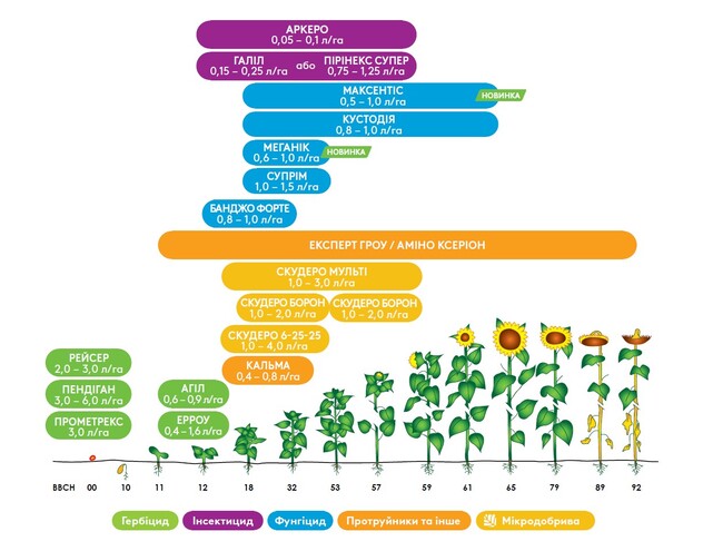 Ефективна система захисту соняшника