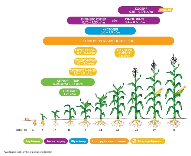 Комплексний підхід до захисту кукурудзи з продуктами ADAMA