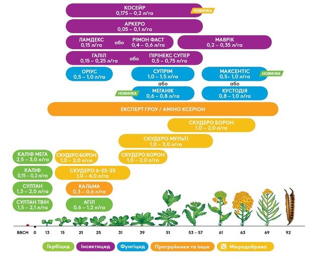 Комплексний підхід до захисту ріпаку з продуктами адама
