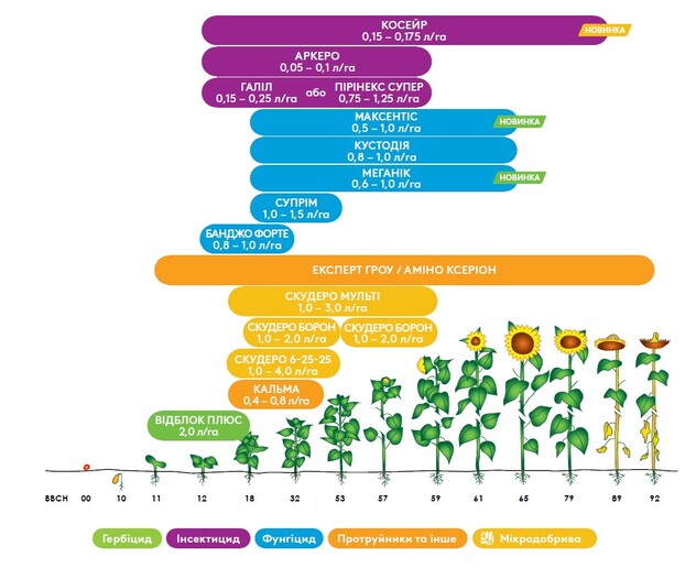 Схема захисту соняшника адама
