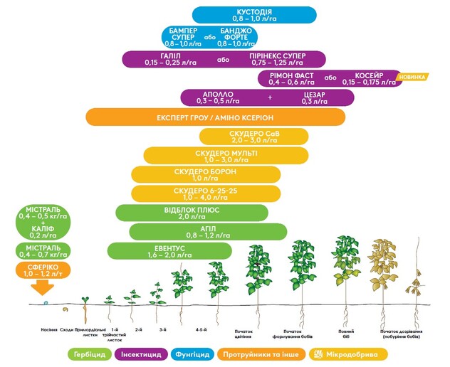 Ефективна схема застосування засобів захисту рослин для сої