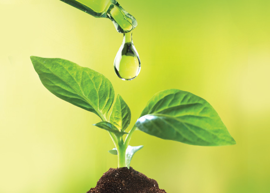 expert_grow_booklet